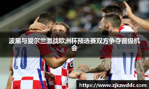 波黑与爱尔兰激战欧洲杯预选赛双方争夺晋级机会
